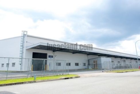 factory for rent dong nai 52